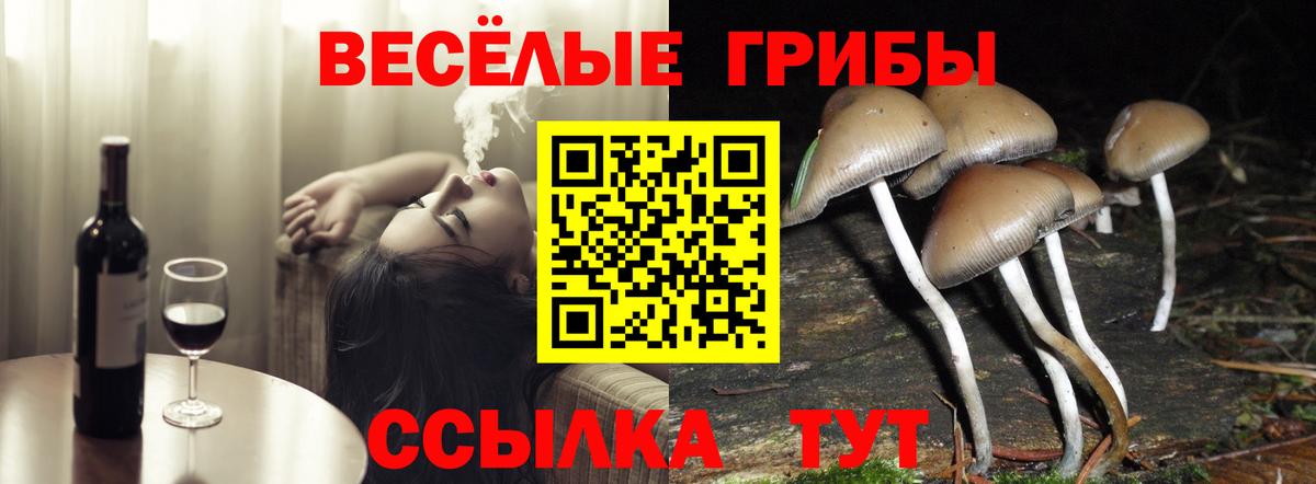 Галлюциногенные грибы Cubensis Кострома